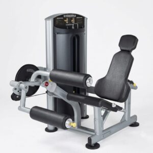Dual Leg Extension + Leg Curl Machine - Selectorized 40% off